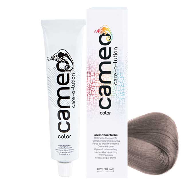 L4H - Cameo 0/81, Silber - 60ml